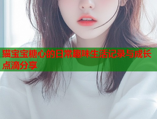 猫宝宝糖心的日常趣味生活记录与成长点滴分享