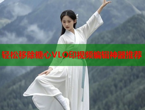 轻松移除糖心VLO印视频编辑神器推荐  第2张