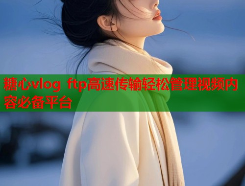 糖心vlog ftp高速传输轻松管理视频内容必备平台